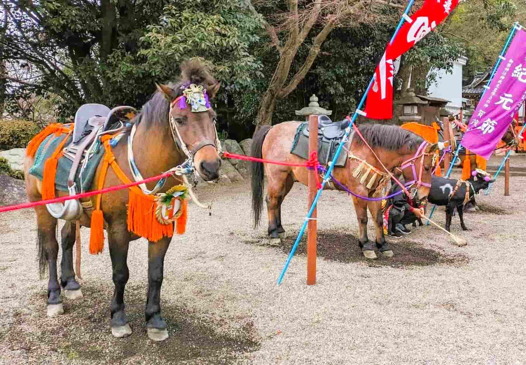 木曽馬乗馬体験 うまるしぇ